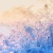 ヒメ日記 2025/02/18 06:49 投稿 かほ 熟女総本店 堺東店