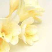 ヒメ日記 2025/02/26 08:29 投稿 かほ 熟女総本店 堺東店