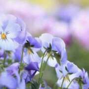 ヒメ日記 2025/02/27 08:29 投稿 かほ 熟女総本店 堺東店