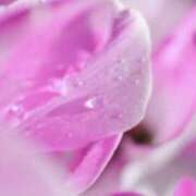 ヒメ日記 2025/03/03 23:29 投稿 かほ 熟女総本店 堺東店