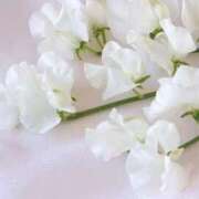 ヒメ日記 2025/03/09 07:59 投稿 かほ 熟女総本店 堺東店