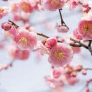 ヒメ日記 2025/03/10 23:59 投稿 かほ 熟女総本店 堺東店