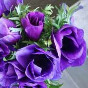 ヒメ日記 2025/03/12 07:39 投稿 かほ 熟女総本店 堺東店