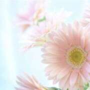 ヒメ日記 2025/03/13 03:19 投稿 かほ 熟女総本店 堺東店