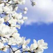 ヒメ日記 2025/03/20 07:49 投稿 かほ 熟女総本店 堺東店