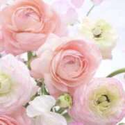 ヒメ日記 2025/03/21 23:09 投稿 かほ 熟女総本店 堺東店