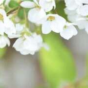 ヒメ日記 2025/04/02 07:29 投稿 かほ 熟女総本店 堺東店