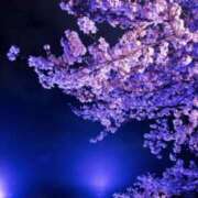 ヒメ日記 2025/04/07 23:29 投稿 かほ 熟女総本店 堺東店