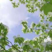 ヒメ日記 2025/04/18 23:19 投稿 かほ 熟女総本店 堺東店