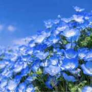 ヒメ日記 2025/04/24 06:09 投稿 かほ 熟女総本店 堺東店