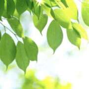 ヒメ日記 2025/05/01 10:29 投稿 かほ 熟女総本店 堺東店