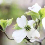 ヒメ日記 2025/05/02 23:19 投稿 かほ 熟女総本店 堺東店