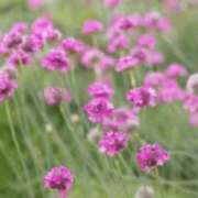 ヒメ日記 2025/05/04 08:19 投稿 かほ 熟女総本店 堺東店