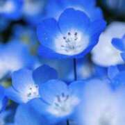 ヒメ日記 2025/05/07 06:19 投稿 かほ 熟女総本店 堺東店