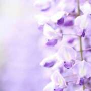 ヒメ日記 2025/05/10 02:49 投稿 かほ 熟女総本店 堺東店