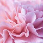 ヒメ日記 2025/05/11 06:39 投稿 かほ 熟女総本店 堺東店