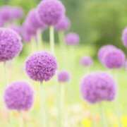 ヒメ日記 2025/05/14 07:19 投稿 かほ 熟女総本店 堺東店