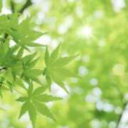 ヒメ日記 2025/05/15 06:39 投稿 かほ 熟女総本店 堺東店