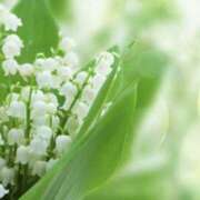 ヒメ日記 2025/05/20 06:09 投稿 かほ 熟女総本店 堺東店