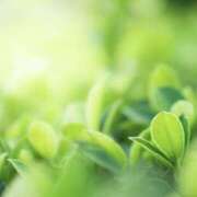 ヒメ日記 2025/05/24 07:19 投稿 かほ 熟女総本店 堺東店