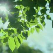 ヒメ日記 2025/06/01 08:39 投稿 かほ 熟女総本店 堺東店