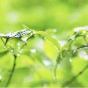 ヒメ日記 2025/06/04 07:29 投稿 かほ 熟女総本店 堺東店