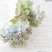 ヒメ日記 2025/06/07 01:29 投稿 かほ 熟女総本店 堺東店