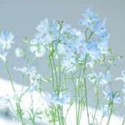 ヒメ日記 2025/06/08 09:09 投稿 かほ 熟女総本店 堺東店