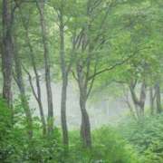 ヒメ日記 2025/06/11 10:20 投稿 かほ 熟女総本店 堺東店