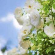 ヒメ日記 2025/06/12 09:09 投稿 かほ 熟女総本店 堺東店