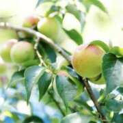 ヒメ日記 2025/06/15 08:59 投稿 かほ 熟女総本店 堺東店