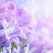 ヒメ日記 2025/06/17 07:09 投稿 かほ 熟女総本店 堺東店