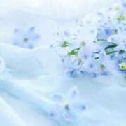 ヒメ日記 2025/06/19 06:39 投稿 かほ 熟女総本店 堺東店