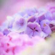 ヒメ日記 2025/06/22 08:29 投稿 かほ 熟女総本店 堺東店