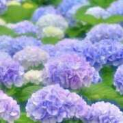 ヒメ日記 2025/06/26 07:49 投稿 かほ 熟女総本店 堺東店