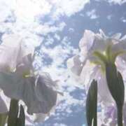 ヒメ日記 2025/06/28 07:09 投稿 かほ 熟女総本店 堺東店