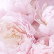 ヒメ日記 2025/06/29 07:49 投稿 かほ 熟女総本店 堺東店