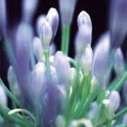 ヒメ日記 2025/07/03 13:59 投稿 かほ 熟女総本店 堺東店