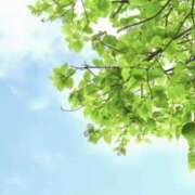 ヒメ日記 2025/07/13 07:49 投稿 かほ 熟女総本店 堺東店