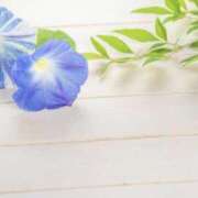 ヒメ日記 2025/07/15 07:59 投稿 かほ 熟女総本店 堺東店