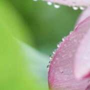 ヒメ日記 2025/07/17 07:09 投稿 かほ 熟女総本店 堺東店