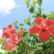 ヒメ日記 2025/07/23 08:29 投稿 かほ 熟女総本店 堺東店