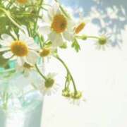 ヒメ日記 2025/07/26 10:09 投稿 かほ 熟女総本店 堺東店