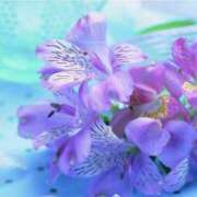 ヒメ日記 2025/07/27 08:59 投稿 かほ 熟女総本店 堺東店