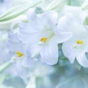 ヒメ日記 2025/07/30 08:19 投稿 かほ 熟女総本店 堺東店