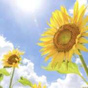 ヒメ日記 2025/07/31 13:19 投稿 かほ 熟女総本店 堺東店