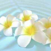 ヒメ日記 2025/08/02 07:59 投稿 かほ 熟女総本店 堺東店