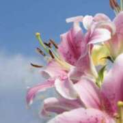 ヒメ日記 2025/08/03 08:59 投稿 かほ 熟女総本店 堺東店