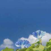 ヒメ日記 2025/08/05 07:19 投稿 かほ 熟女総本店 堺東店