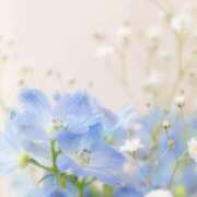 ヒメ日記 2025/08/09 14:19 投稿 かほ 熟女総本店 堺東店